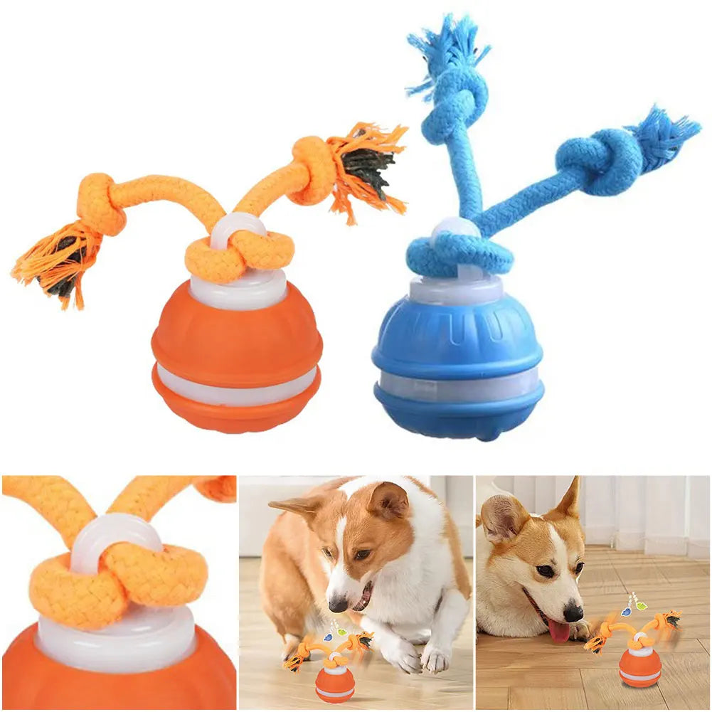 Interactive Dog Toys USB Rechargeable Motion Activated Dog Ball with Rope Active Rolling Ball for Medium Small Dogs Puppy