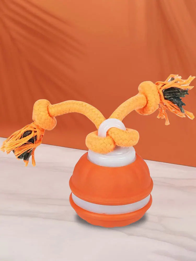 Interactive Dog Toys USB Rechargeable Motion Activated Dog Ball with Rope Active Rolling Ball for Medium Small Dogs Puppy