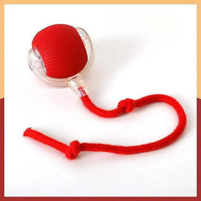 Electric Dog Ball Toys Automatic Rolling Ball Rechargeable Smart Pet Interactive Plush Toy Dog Cat Training Imitate Mouse
