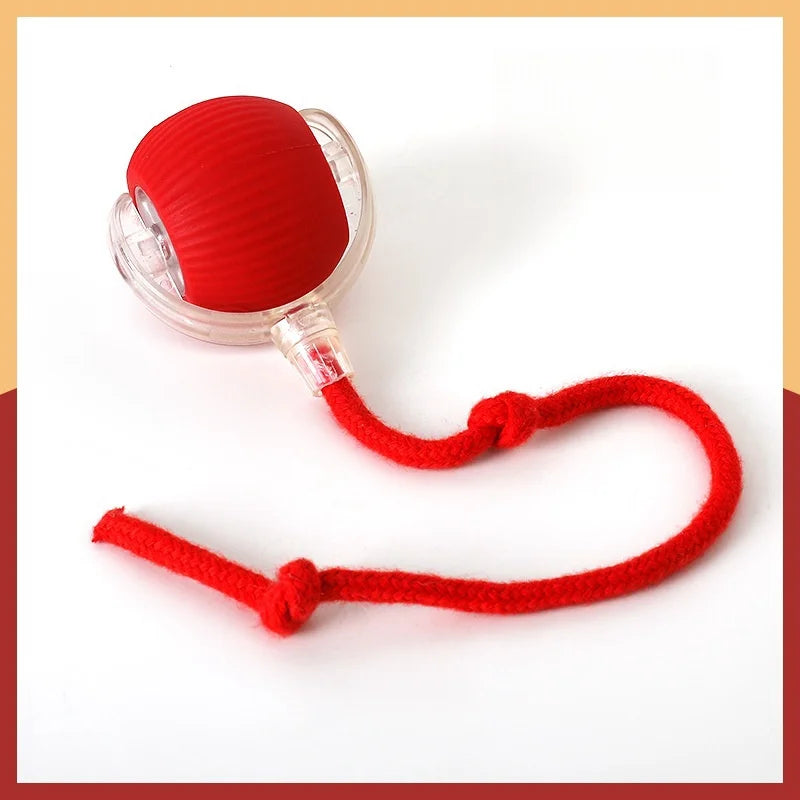 Electric Dog Ball Toys Automatic Rolling Ball Rechargeable Smart Pet Interactive Plush Toy Dog Cat Training Imitate Mouse