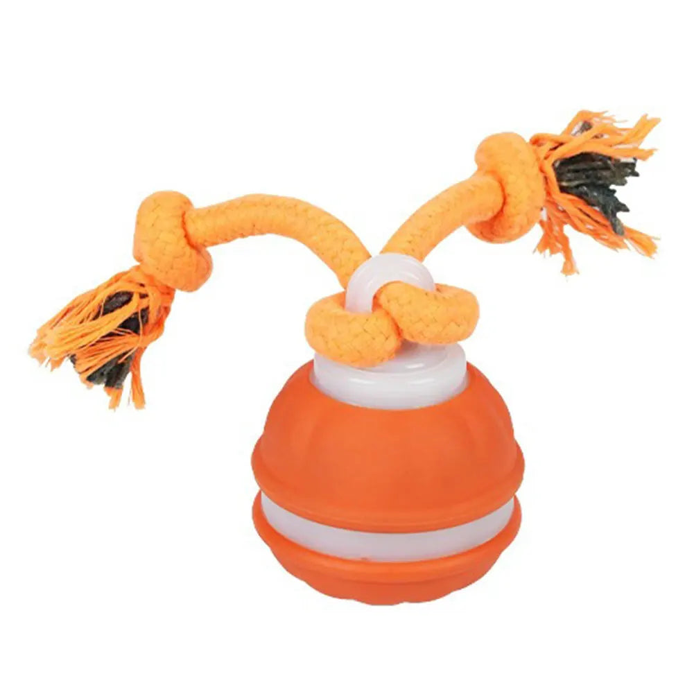 Interactive Dog Toys USB Rechargeable Motion Activated Dog Ball with Rope Active Rolling Ball for Medium Small Dogs Puppy