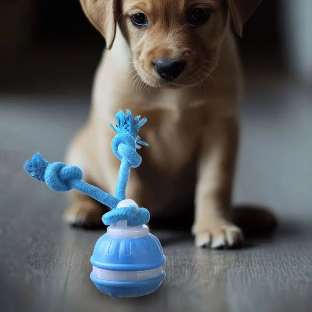 Interactive Dog Toys USB Rechargeable Motion Activated Dog Ball with Rope Active Rolling Ball for Medium Small Dogs Puppy