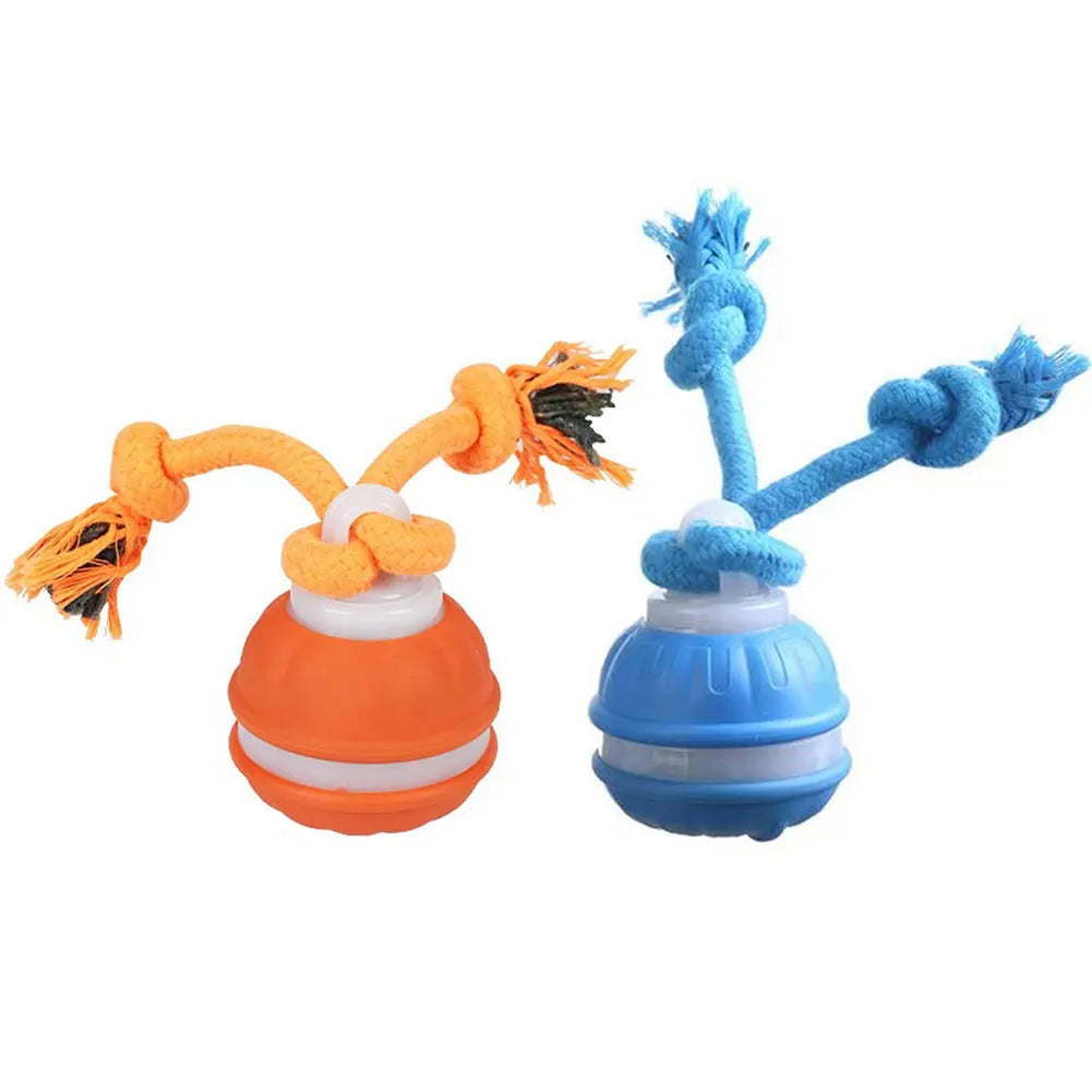 Interactive Dog Toys USB Rechargeable Motion Activated Dog Ball with Rope Active Rolling Ball for Medium Small Dogs Puppy