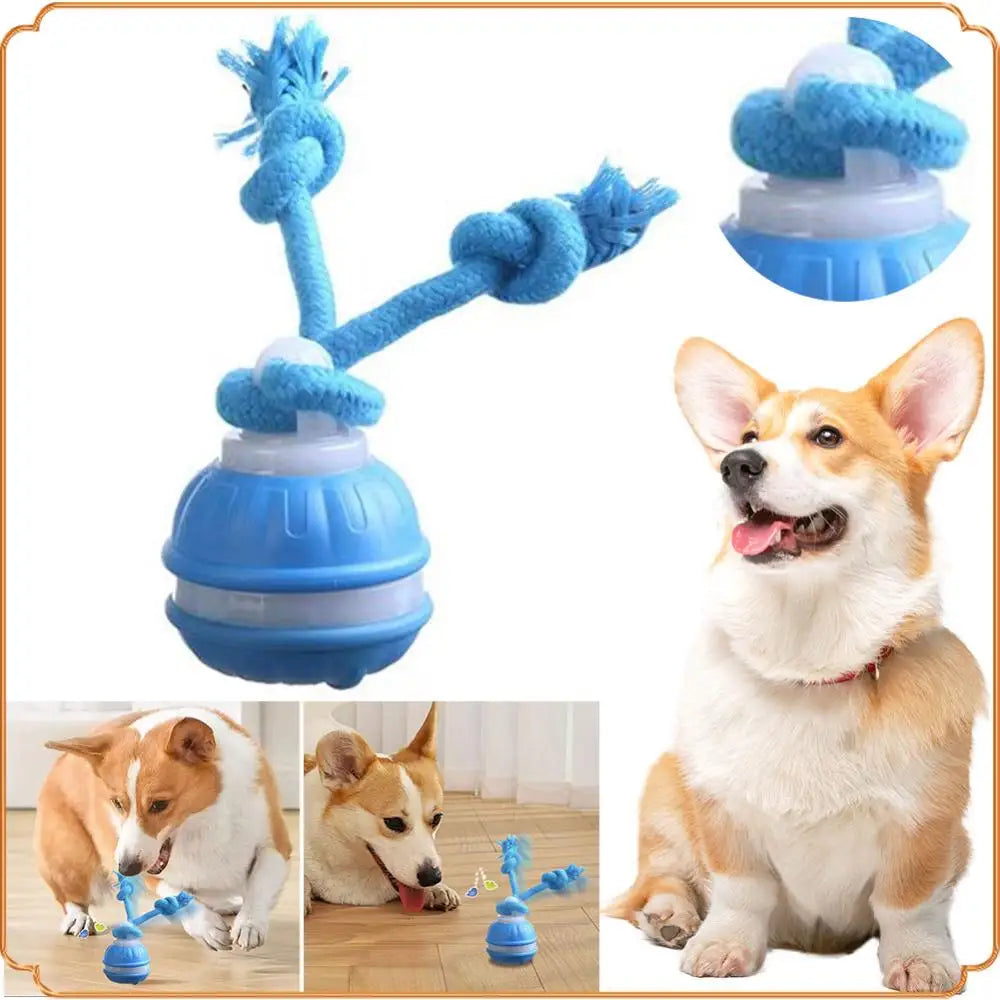 Interactive Dog Toys USB Rechargeable Motion Activated Dog Ball with Rope Active Rolling Ball for Medium Small Dogs Puppy